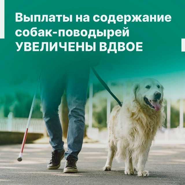 Выплаты на содержание собак-поводырей увеличены вдвое