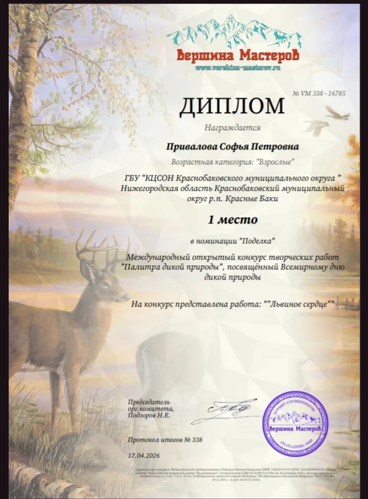 Участие в конкурсе