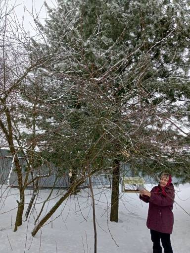 Трудно птицам зимовать, надо птицам помогать!
