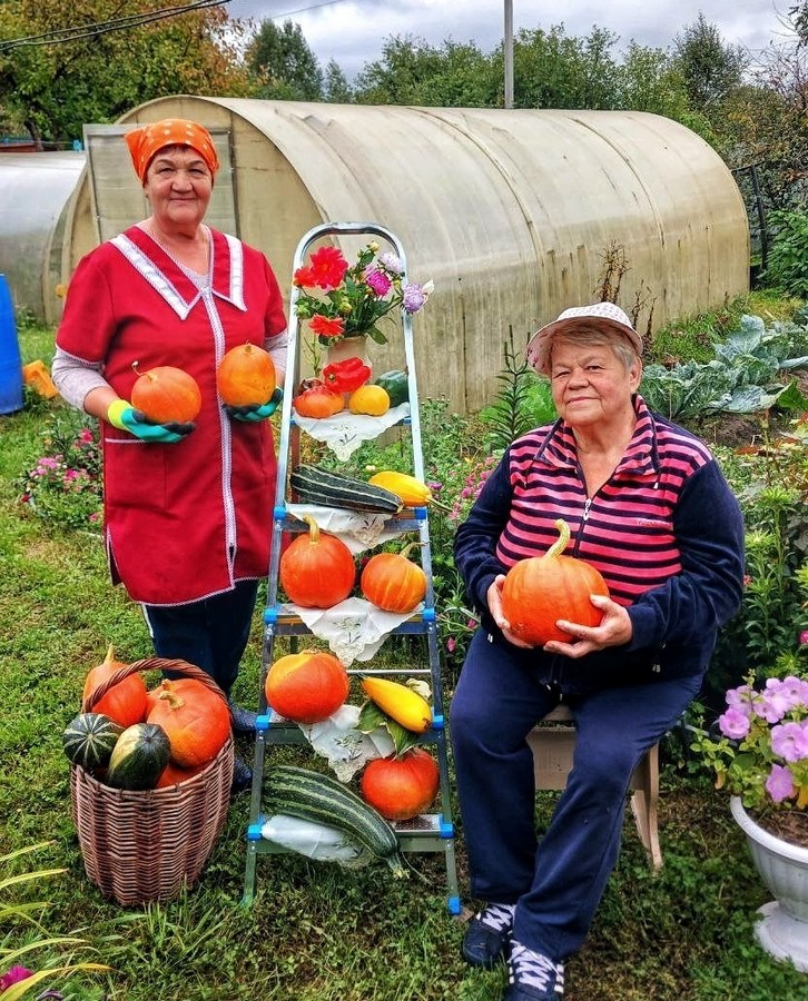 Королева осени — тыква!