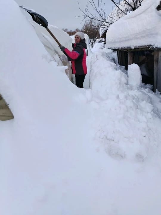Расчистка дорожек, крыш, теплиц от снега.