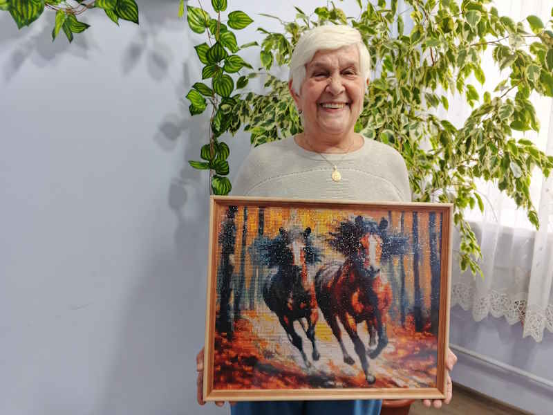 Алмазная вышивка «Бегущие лошади» 